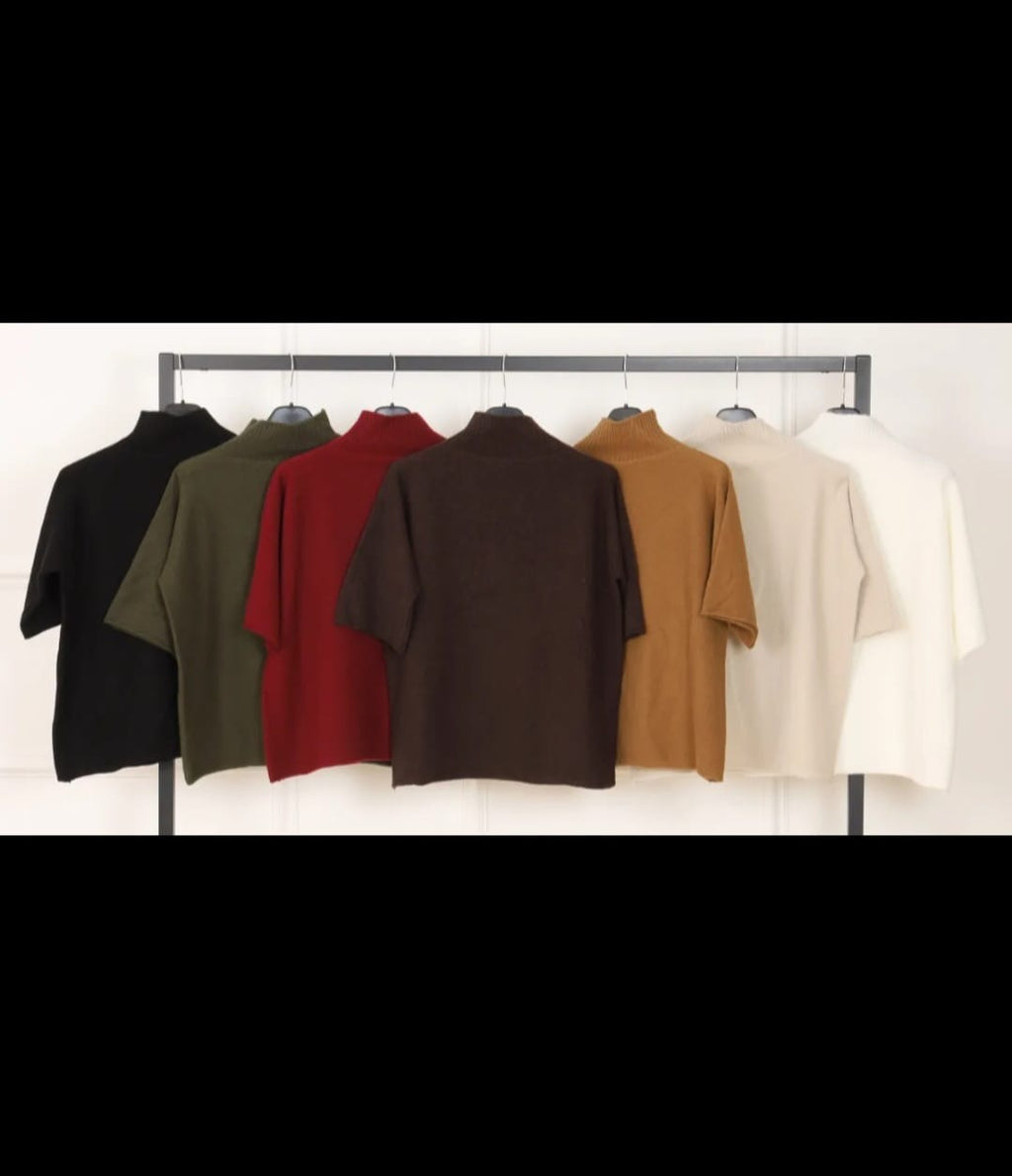 Pull Col Roulé Manches Courtes